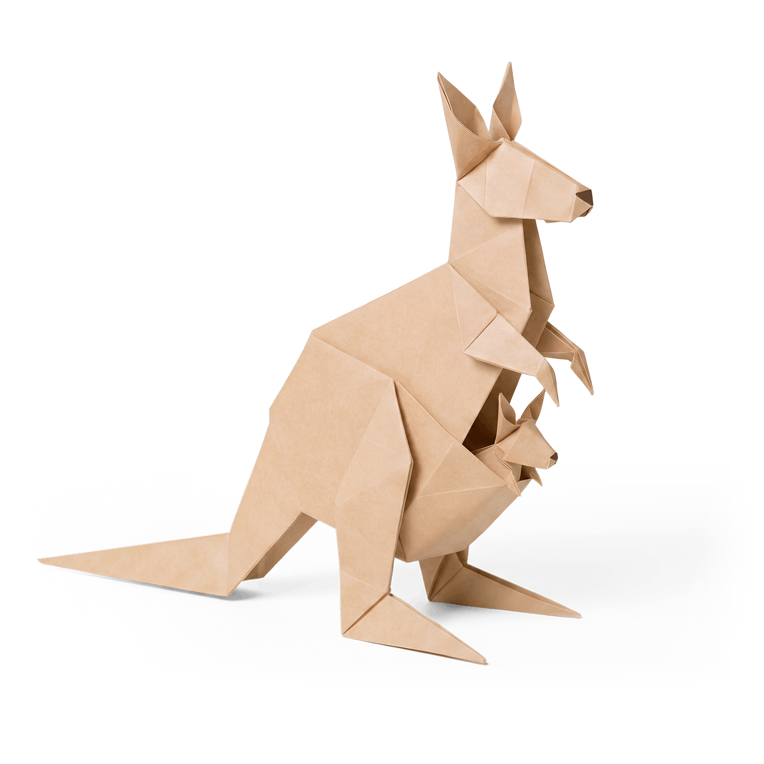 Tzu Chi Characters - Kangaroo