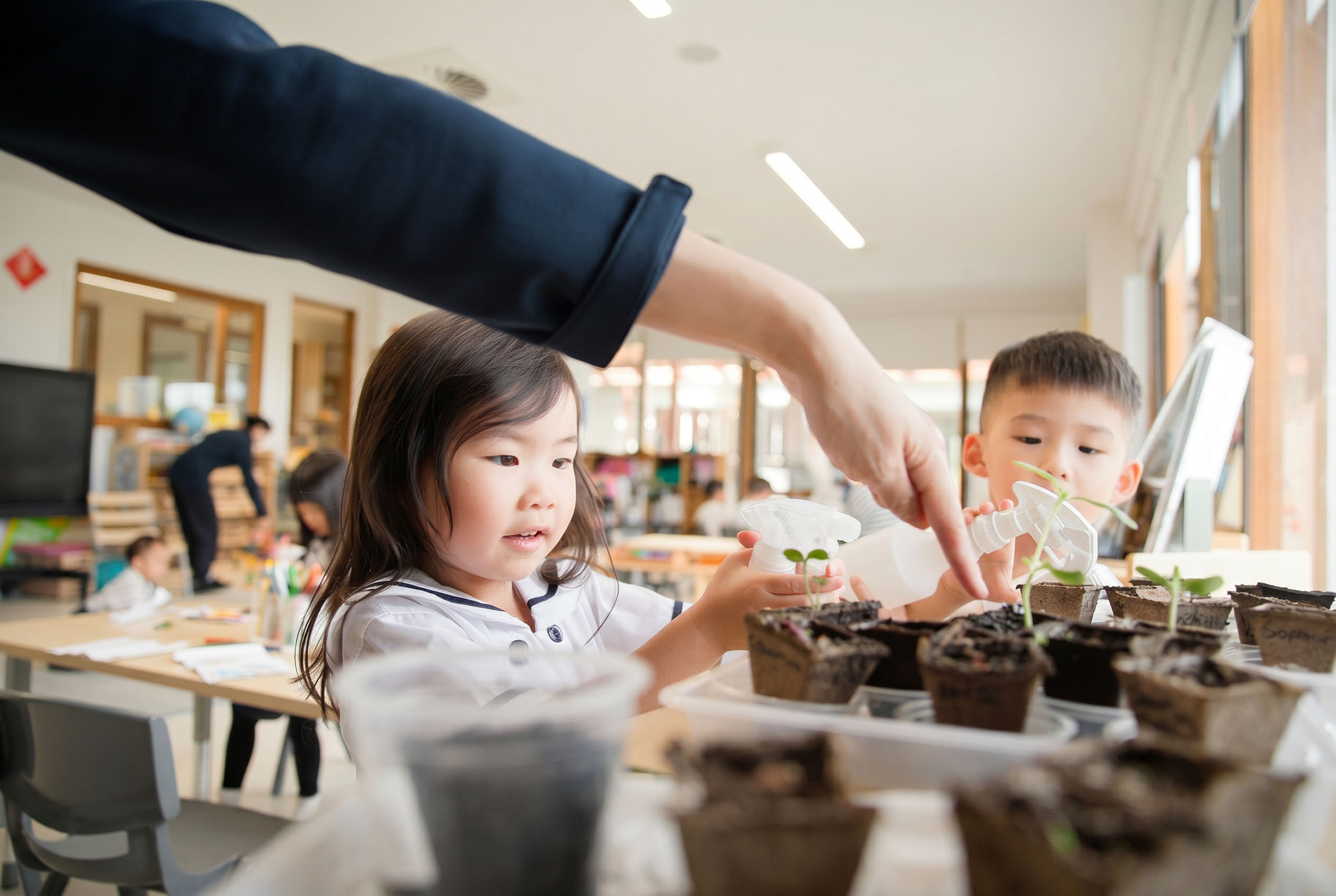 Tzu Chi Erly Learning Brisbane classroom, children watering plants